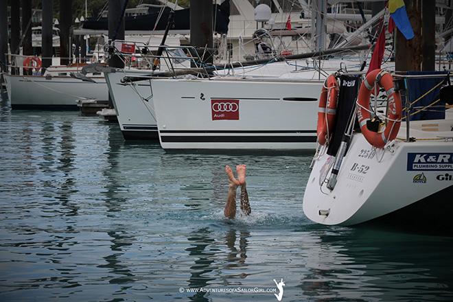 2016 Audi Hamilton Island Race Week - Day 3 - Audi Hamilton Island Whale Watching Week © Nic Douglass / www.AdventuresofaSailorGirl.com